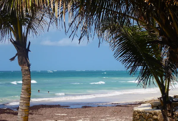 Kenya Diani Beach 23 BG